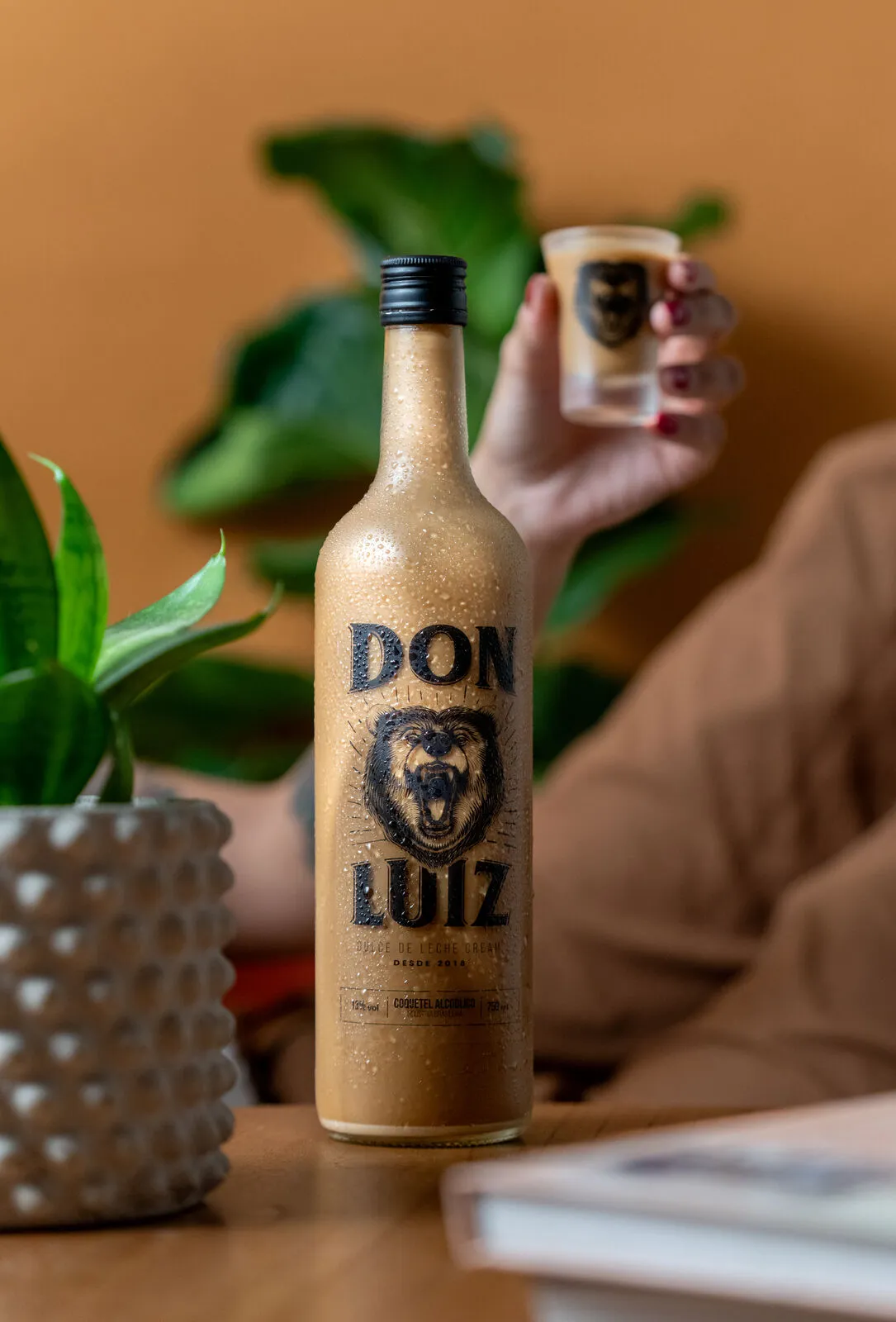 Don Luiz